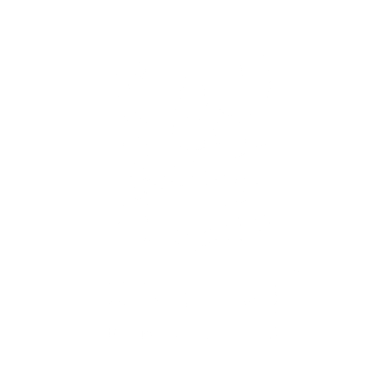 Shefu - Set of 5 Japanese Folded Damascus Steel Chef Knives – ryoriknives